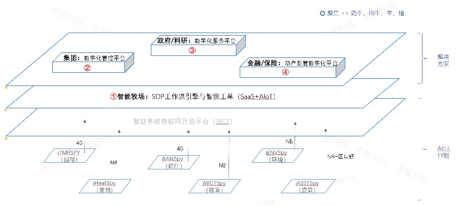 XPJ(�й���)�ٷ���վ