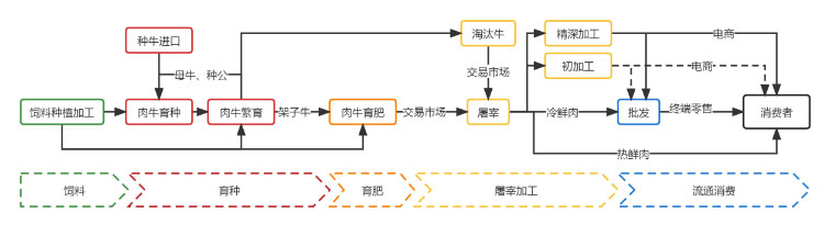 XPJ(�й���)�ٷ���վ