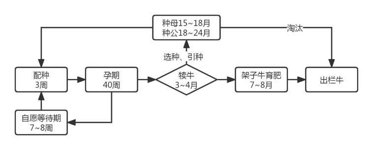 XPJ(�й���)�ٷ���վ