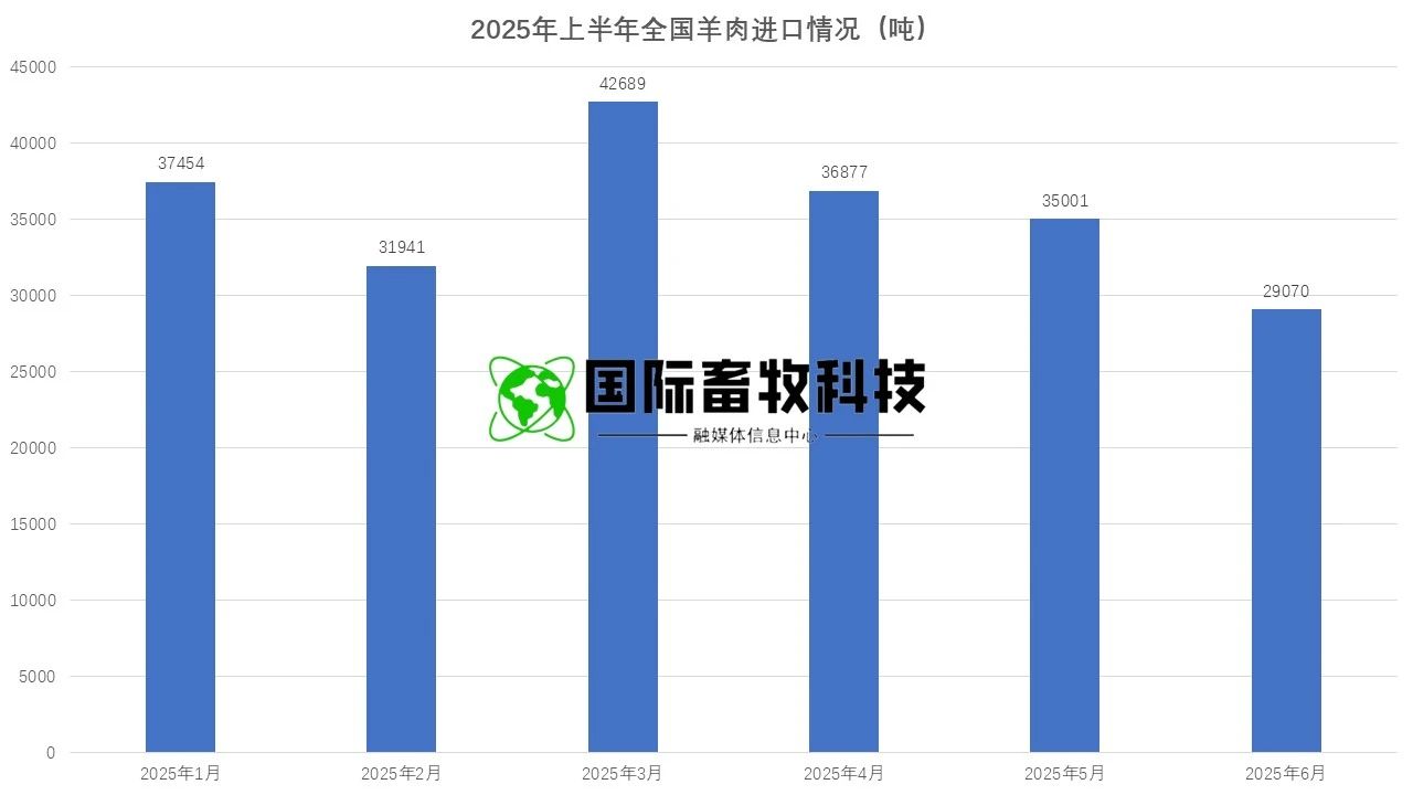 20250722145464146414 XPJ(ÖйúÇø)¹Ù·½ÍøÕ¾